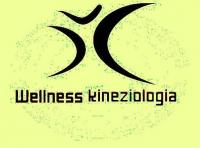 Wellness Kineziológia